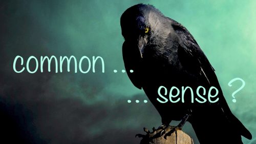 Common Sense Blog
