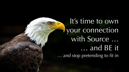 EAGLE bird-7558377_1280